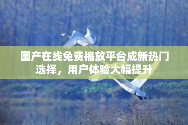 国产在线免费播放平台成新热门选择，用户体验大幅提升