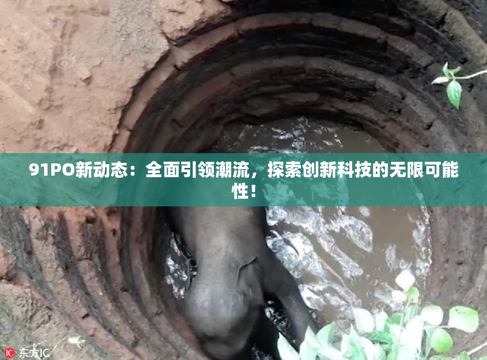 91PO新动态：全面引领潮流，探索创新科技的无限可能性！
