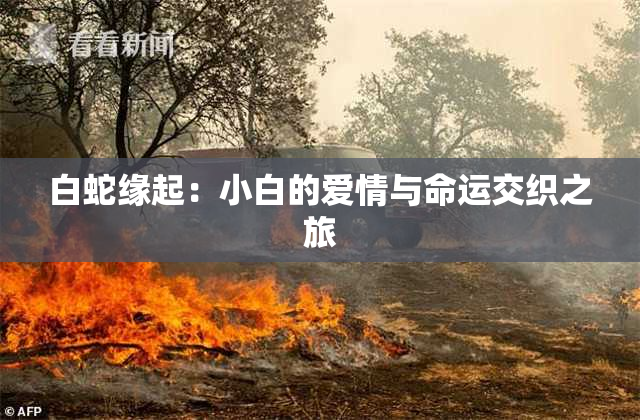 白蛇缘起：小白的爱情与命运交织之旅