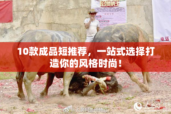 10款成品短推荐，一站式选择打造你的风格时尚！