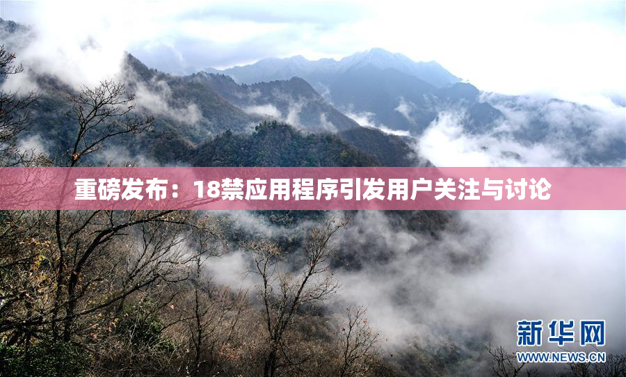 重磅发布：18禁应用程序引发用户关注与讨论