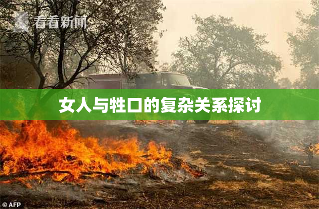 女人与牲口的复杂关系探讨