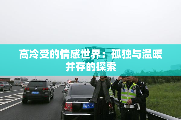 高冷受的情感世界：孤独与温暖并存的探索