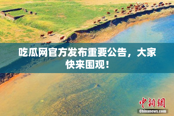 吃瓜网官方发布重要公告，大家快来围观！