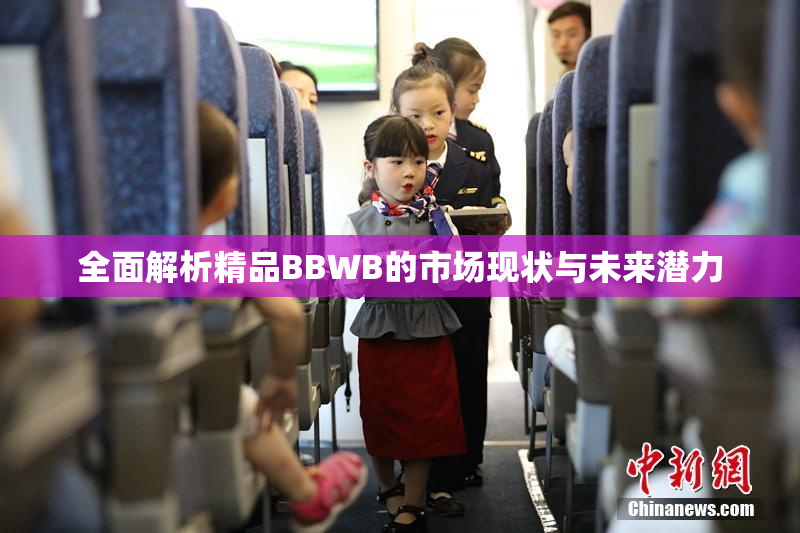 全面解析精品BBWB的市场现状与未来潜力