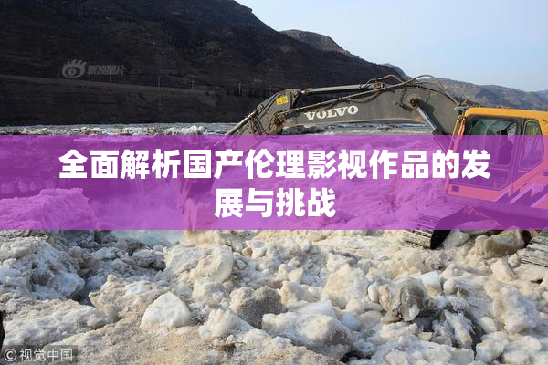全面解析国产伦理影视作品的发展与挑战