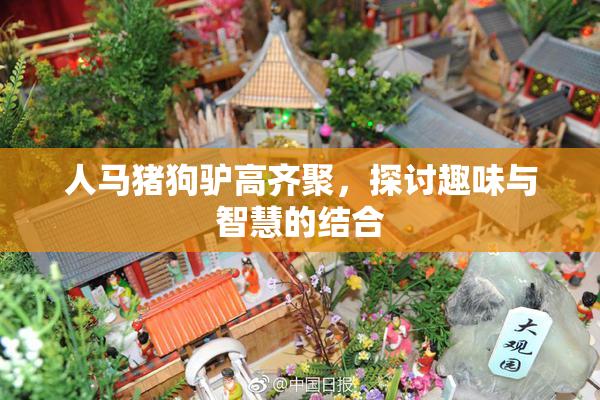 人马猪狗驴高齐聚，探讨趣味与智慧的结合