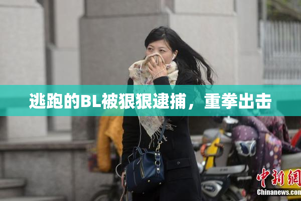 逃跑的BL被狠狠逮捕，重拳出击
