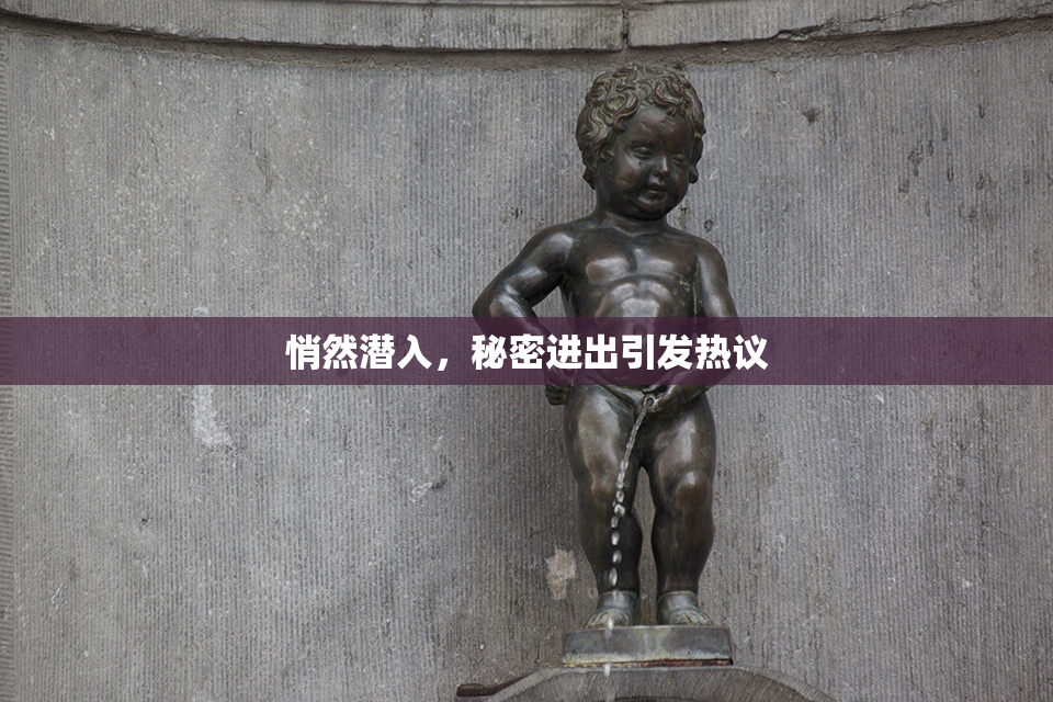 悄然潜入，秘密进出引发热议