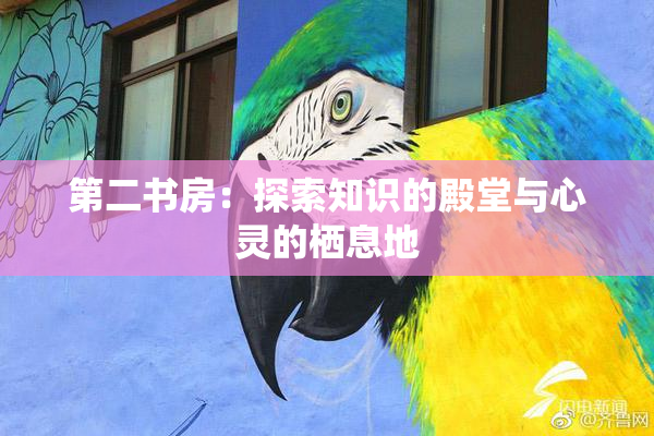 第二书房：探索知识的殿堂与心灵的栖息地