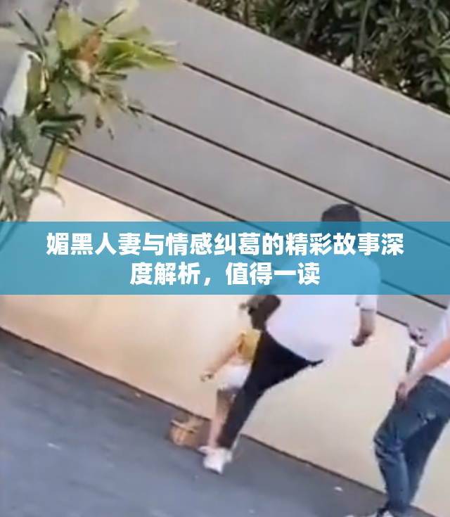 媚黑人妻与情感纠葛的精彩故事深度解析，值得一读