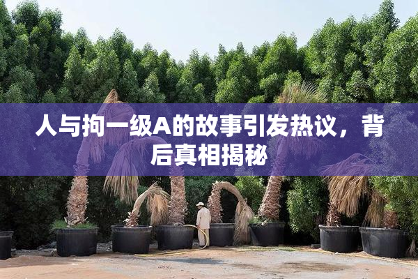 人与拘一级A的故事引发热议，背后真相揭秘