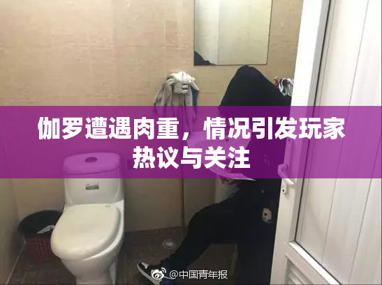 伽罗遭遇肉重，情况引发玩家热议与关注