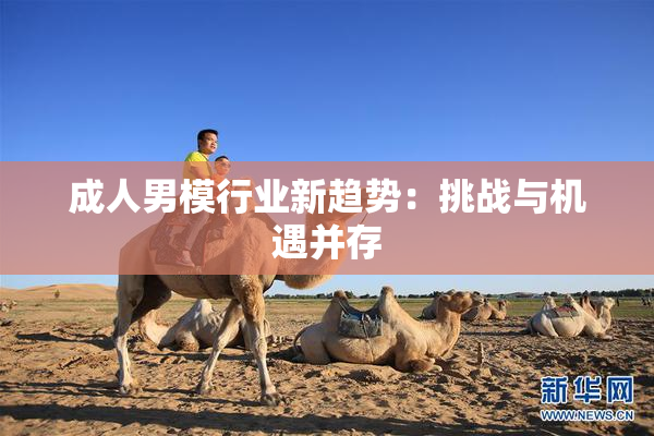 成人男模行业新趋势：挑战与机遇并存