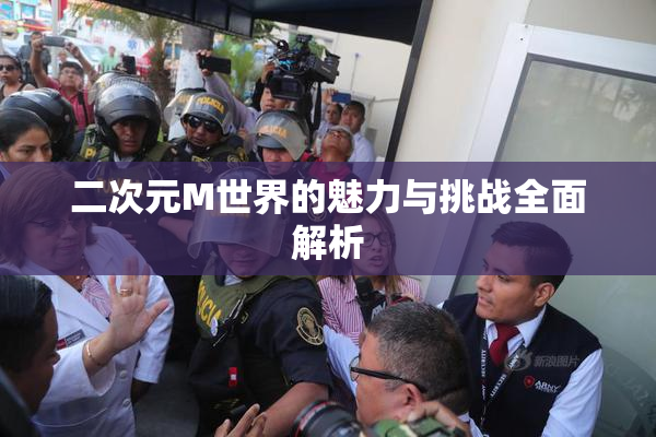 二次元M世界的魅力与挑战全面解析