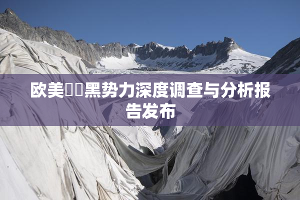 欧美❌‌黑势力深度调查与分析报告发布