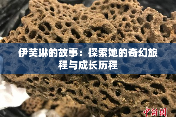 伊芙琳的故事：探索她的奇幻旅程与成长历程
