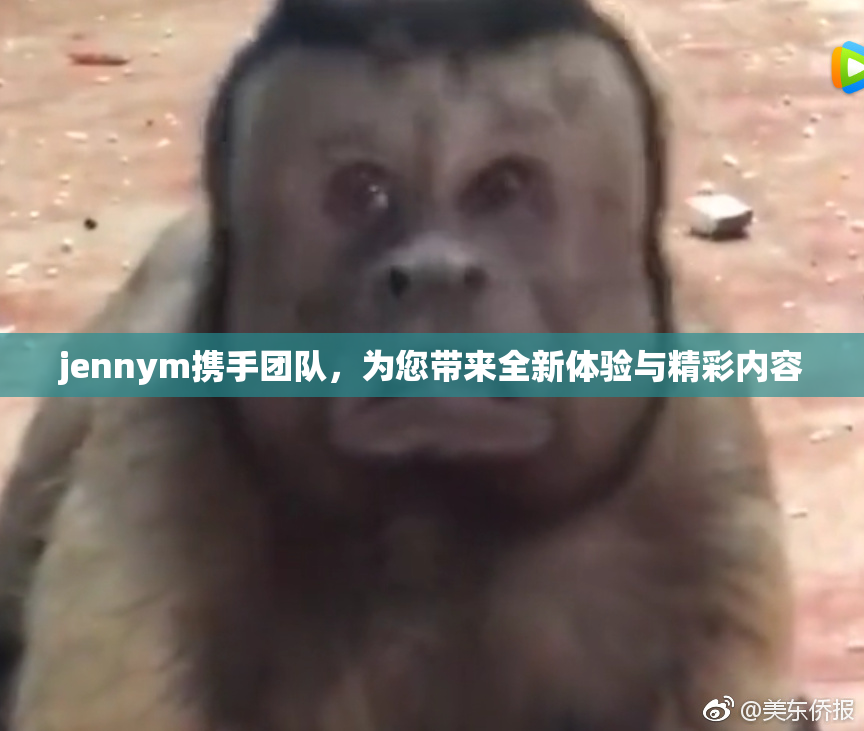 jennym携手团队，为您带来全新体验与精彩内容