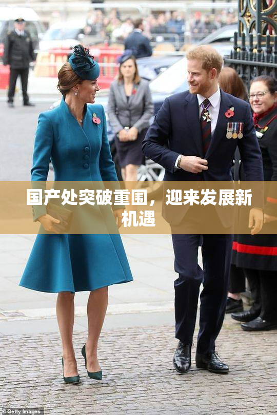 国产处突破重围，迎来发展新机遇