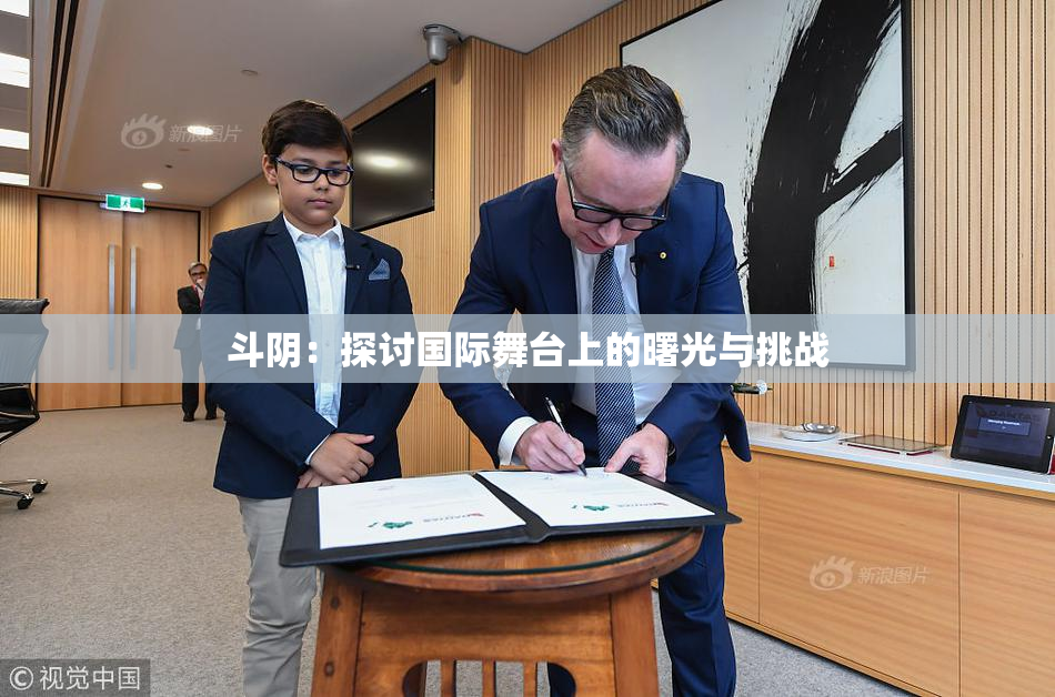 斗阴：探讨国际舞台上的曙光与挑战