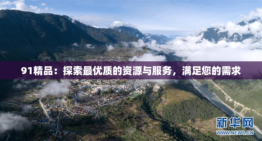 91精品：探索最优质的资源与服务，满足您的需求