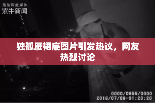 独孤雁裙底图片引发热议，网友热烈讨论