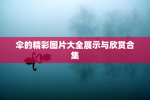 伞的精彩图片大全展示与欣赏合集