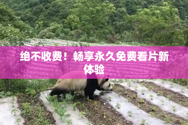 绝不收费！畅享永久免费看片新体验
