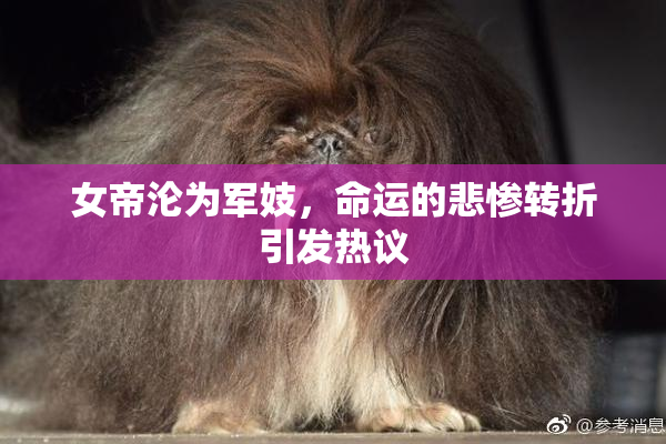 女帝沦为军妓，命运的悲惨转折引发热议