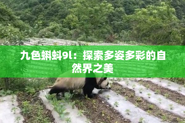 九色蝌蚪9l：探索多姿多彩的自然界之美