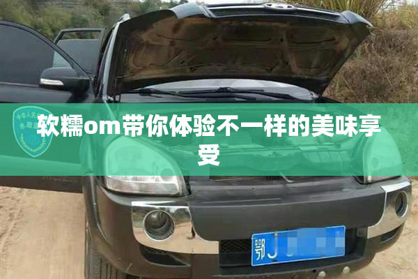 软糯om带你体验不一样的美味享受