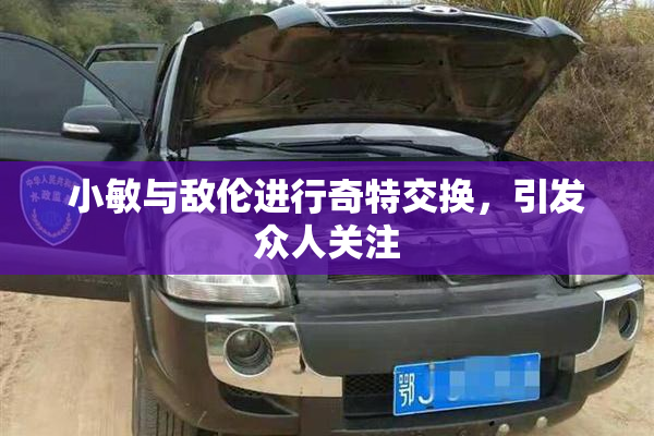 小敏与敌伦进行奇特交换，引发众人关注