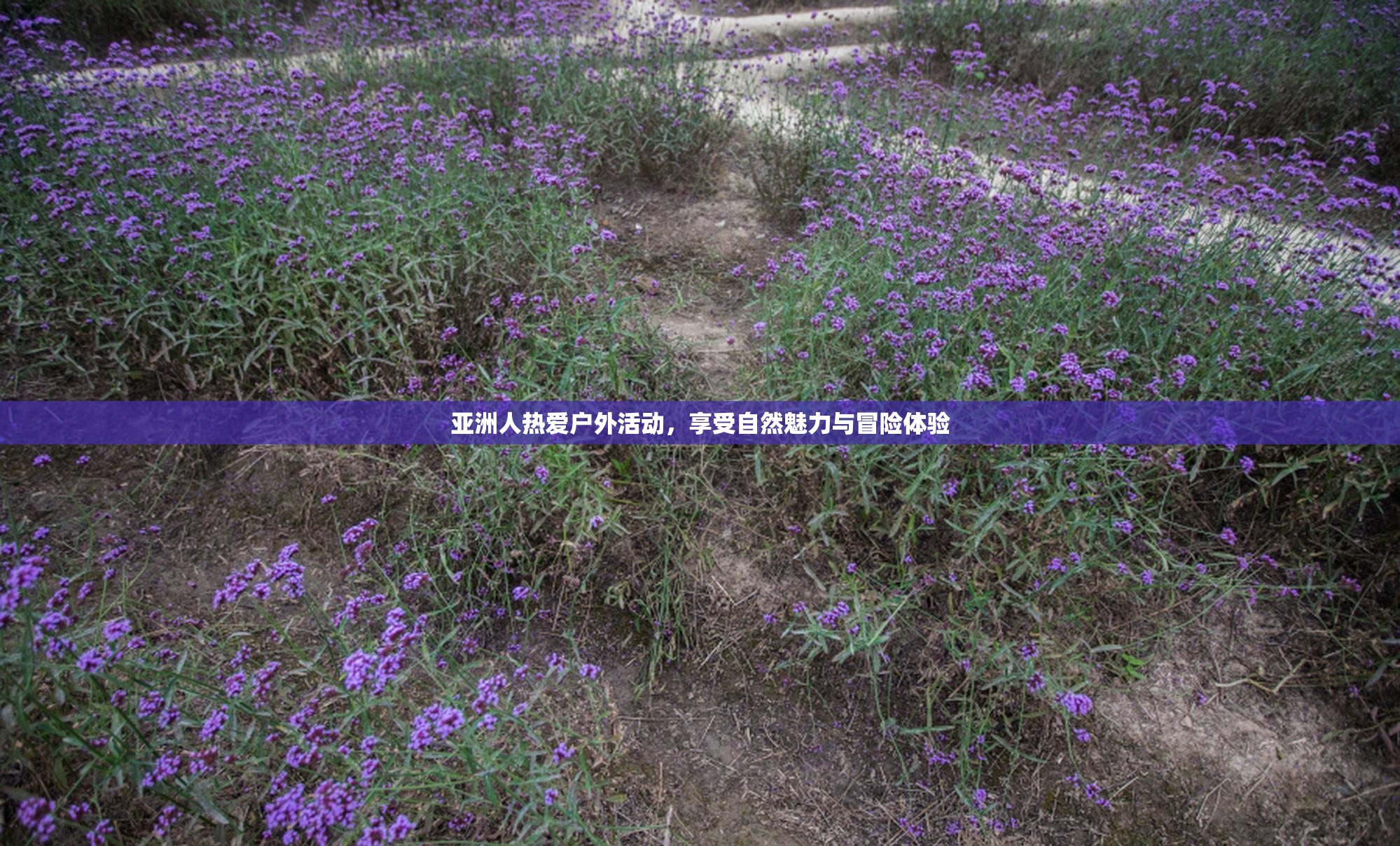 亚洲人热爱户外活动，享受自然魅力与冒险体验