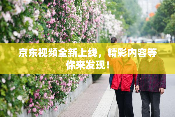 京东视频全新上线，精彩内容等你来发现！
