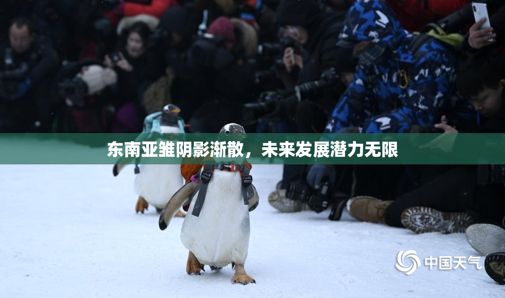东南亚雏阴影渐散，未来发展潜力无限