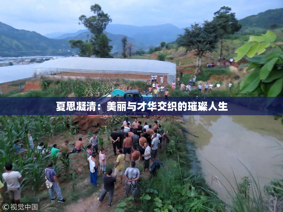 夏思凝清：美丽与才华交织的璀璨人生