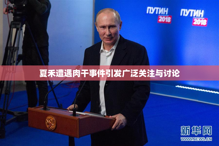 夏禾遭遇肉干事件引发广泛关注与讨论