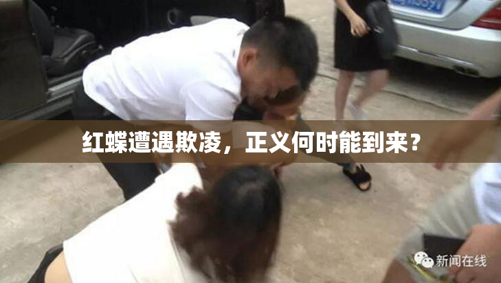 红蝶遭遇欺凌，正义何时能到来？
