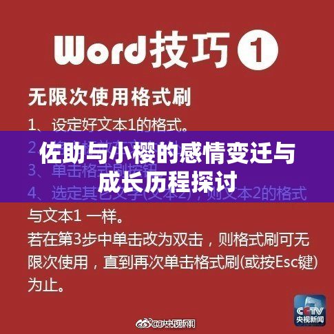 佐助与小樱的感情变迁与成长历程探讨