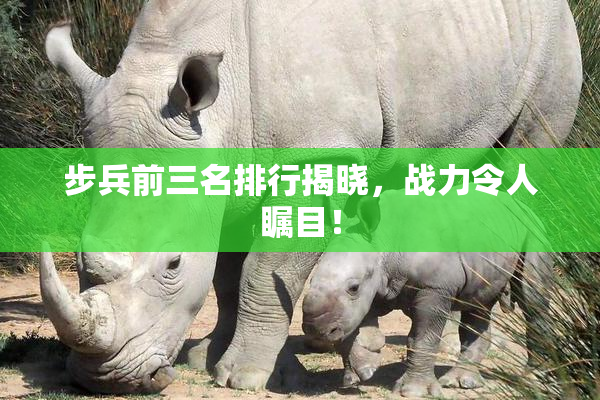 步兵前三名排行揭晓，战力令人瞩目！