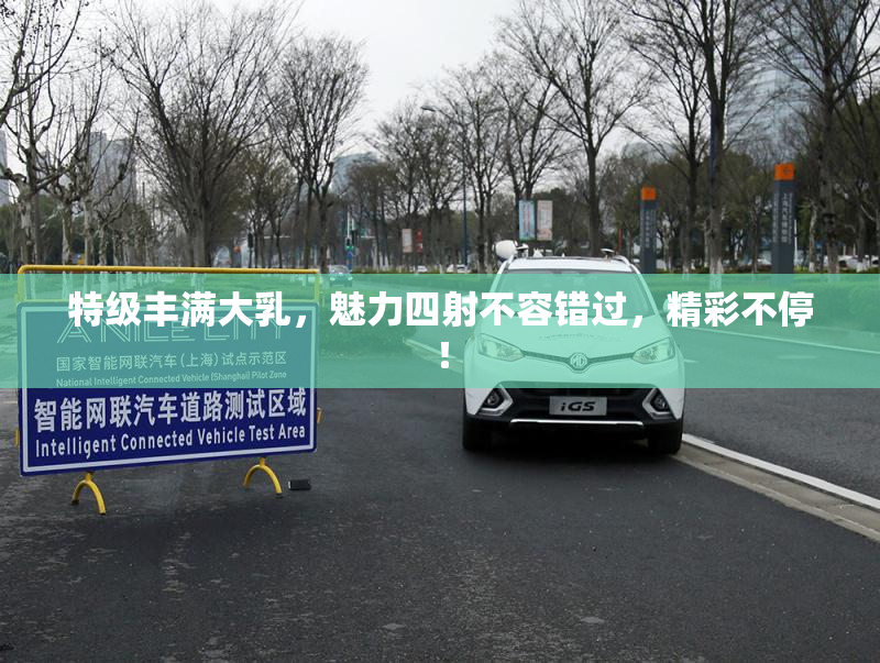 特级丰满大乳，魅力四射不容错过，精彩不停！