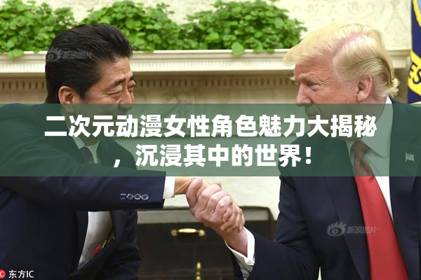 二次元动漫女性角色魅力大揭秘，沉浸其中的世界！