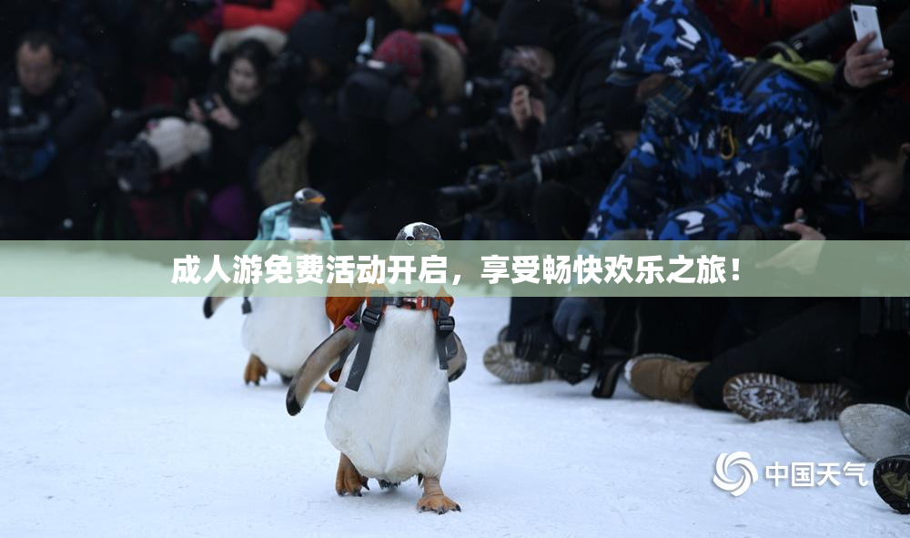 成人游免费活动开启，享受畅快欢乐之旅！