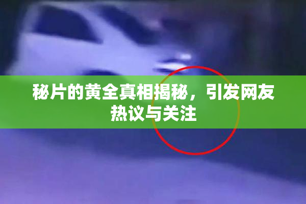 秘片的黄全真相揭秘，引发网友热议与关注