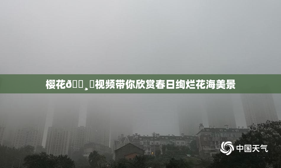 樱花🌸‌视频带你欣赏春日绚烂花海美景