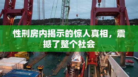 性刑房内揭示的惊人真相，震撼了整个社会