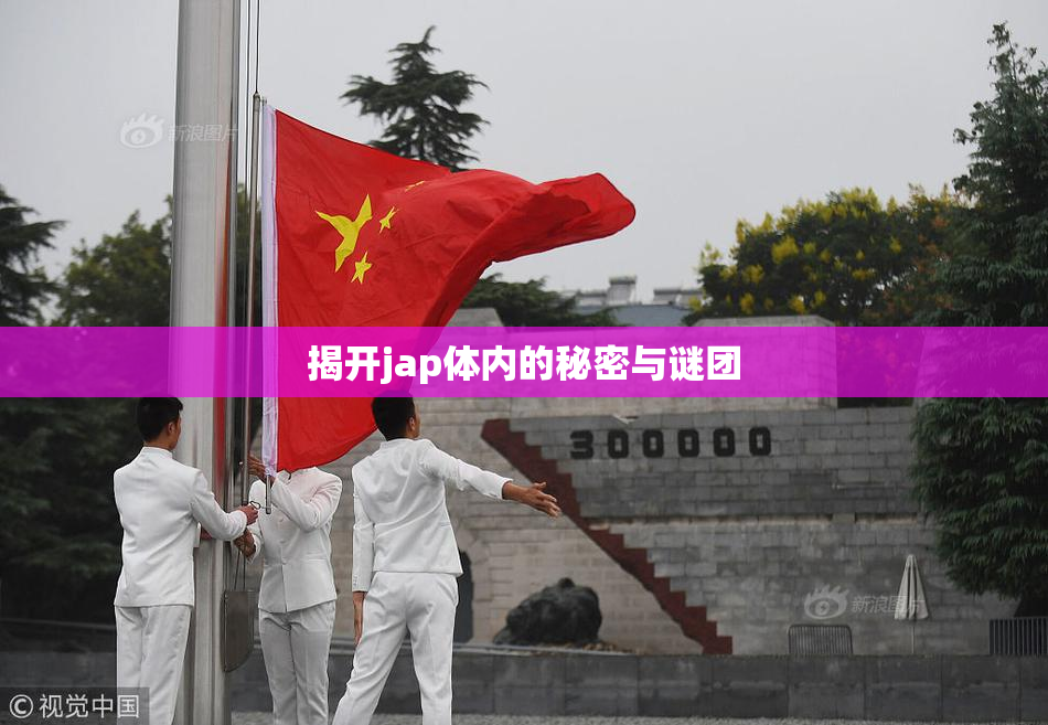 揭开jap体内的秘密与谜团