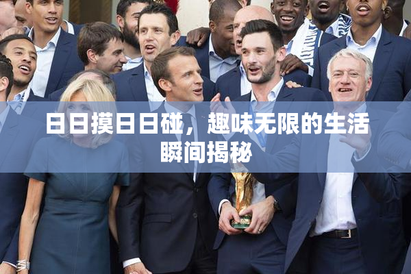 日日摸日日碰，趣味无限的生活瞬间揭秘