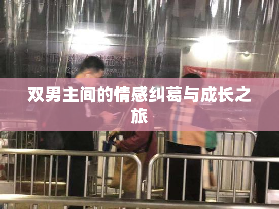 双男主间的情感纠葛与成长之旅