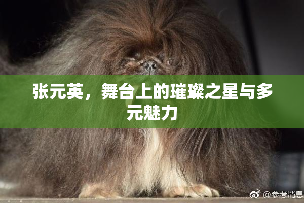 张元英，舞台上的璀璨之星与多元魅力